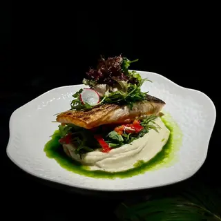 Salmon 250g