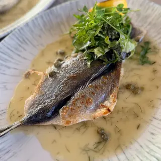Daily catch 500g