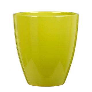 SAKSIJA ORCHID TROPICAL GREEN