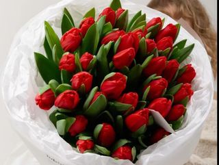 51 tulips