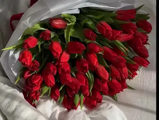 101 tulips