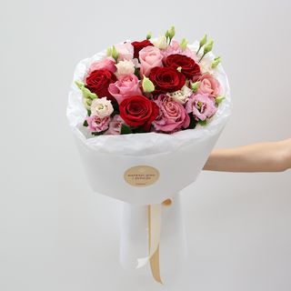 Crvena ruža i hermosa M