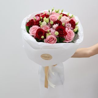 Crvena ruža i hermosa L