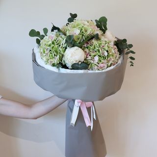 Hortenzija i Božur II