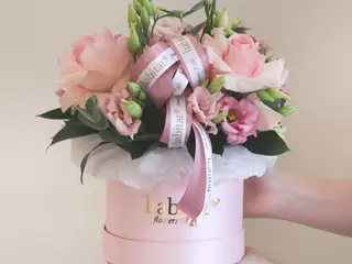 Pastelna Bajka S