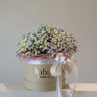 Gipsofil u kutiji