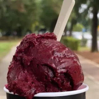 Borovnica