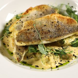 File dorado na žaru sa brokoli i kari sosom sa dagnjama