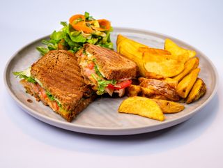 Sendvič sa lososom 400gr