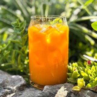 Siberian Ice Tea 410ml