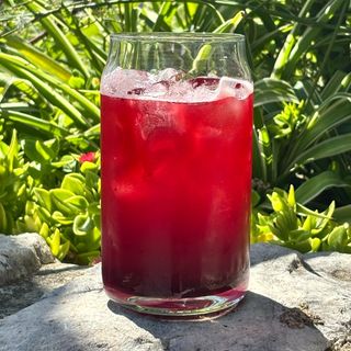 Black Currant Ice Tea 410 ml