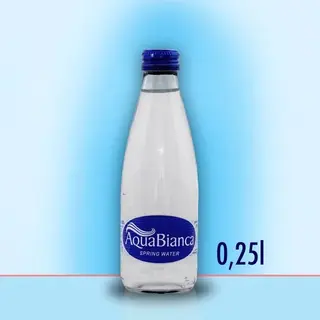 Negazirana voda 0,25l