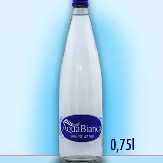 Negazirana voda 0,75l