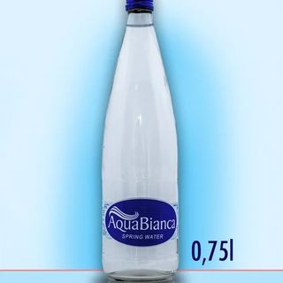 Negazirana voda 0,75l