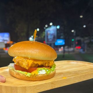 Chıcken burger combo