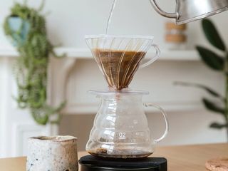 V60 Tanzania Shishton Village