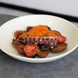 Octopus with harissa sause
