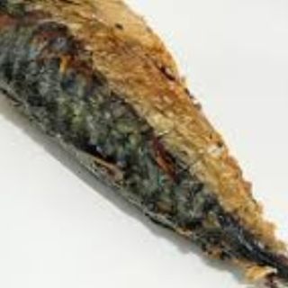 Big Fried Titus Fish