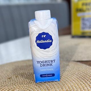 Small Hollandia Yogurt