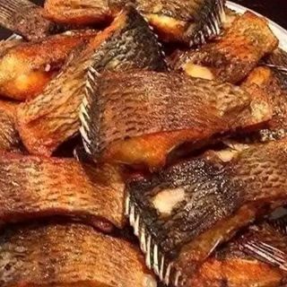 Tilapia fish 