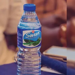 Water 