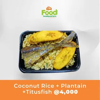 Coconut Rice + Titusfish Combo