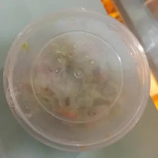 Salad