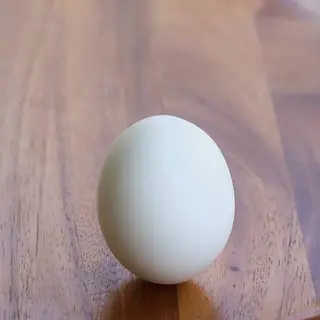 Egg