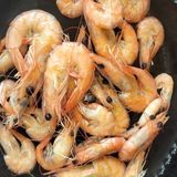 Shrimps