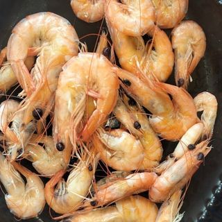 Shrimps