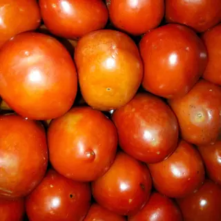 Fresh derica tomatoes