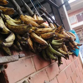 Plantain