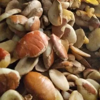 Ogbono