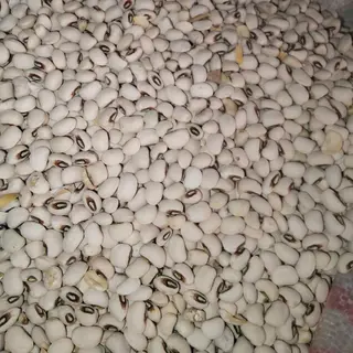 Iron white beans