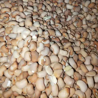 Beans
