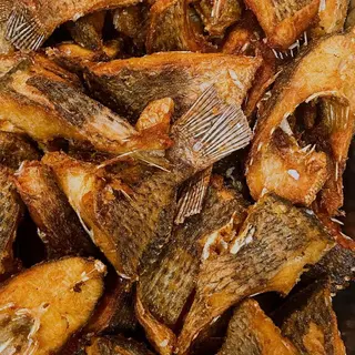 Croaker