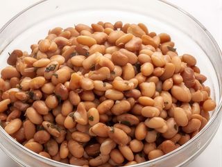 White (Plain) Beans