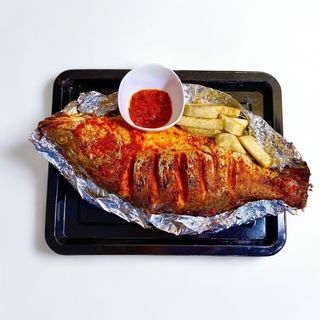 Croaker Fish