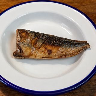 Mackerel