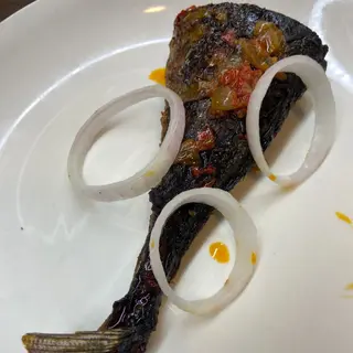 Fish Tail (Shinny or Scumbia)