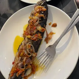 Scumbia Fish (Full)