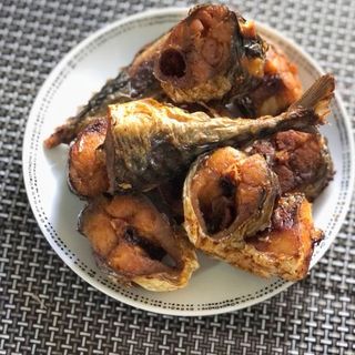 Mackerel Fish