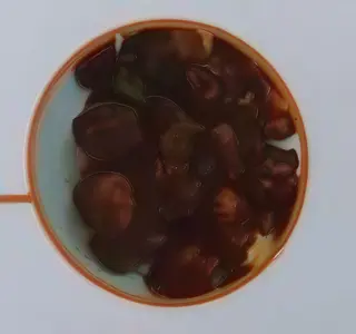 Veg Chilli Momo