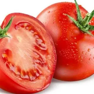 Pomidor
