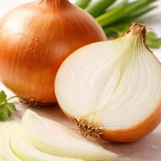 Cebula