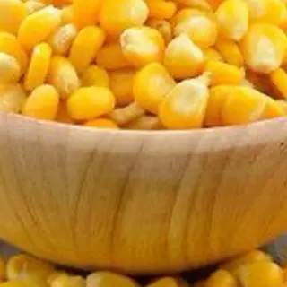 Kukurydza
