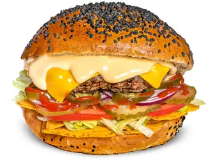Burger Mexico