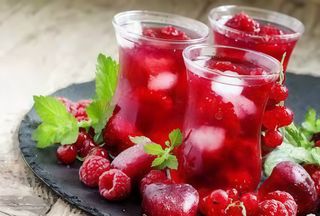 Herbata mrożona Ice forest 330ml