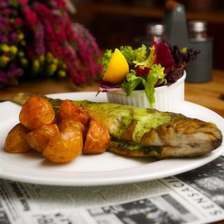 Rybka we wodorostach