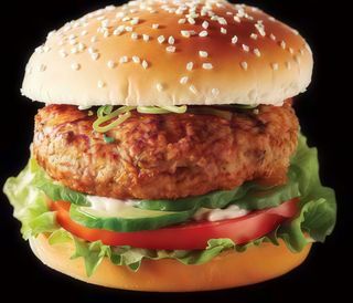 Chicken Burger 230g